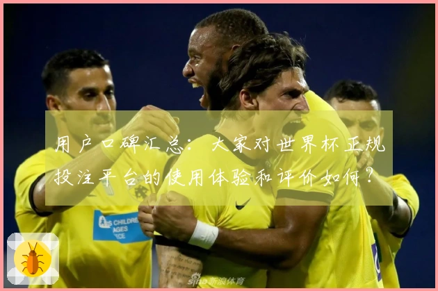 用户口碑汇总：大家对世界杯正规投注平台的使用体验和评价如何？