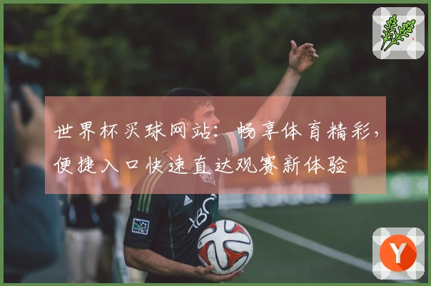 世界杯买球网站：畅享体育精彩，便捷入口快速直达观赛新体验