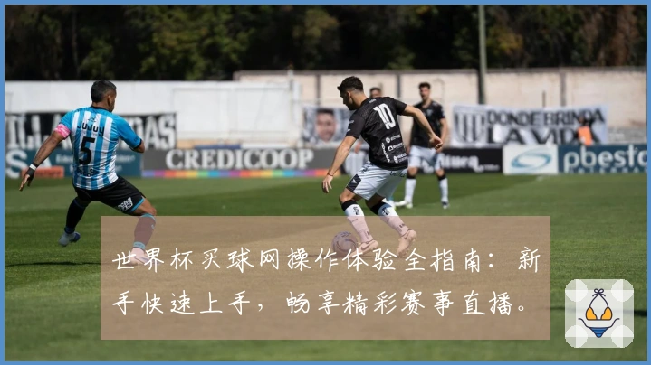 世界杯买球网操作体验全指南：新手快速上手，畅享精彩赛事直播。