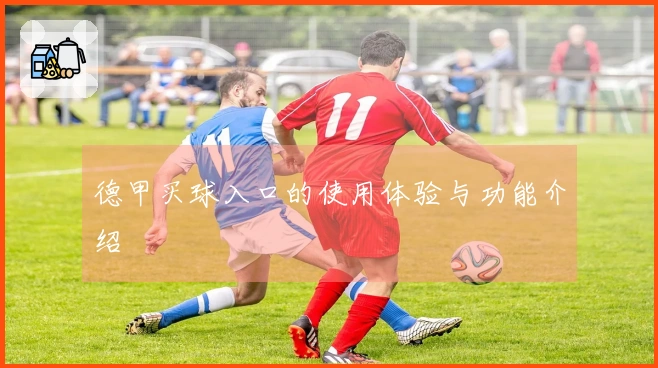 德甲买球入口的使用体验与功能介绍