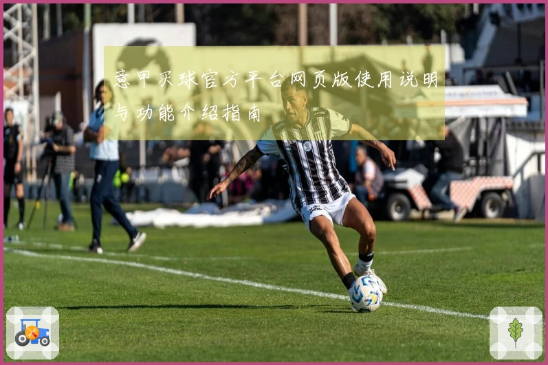 意甲买球官方平台网页版使用说明与功能介绍指南