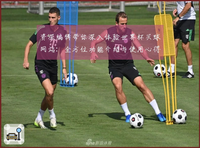 资深编辑带你深入体验世界杯买球网站：全方位功能介绍与使用心得分享