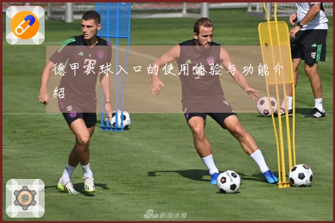 德甲买球入口的使用体验与功能介绍