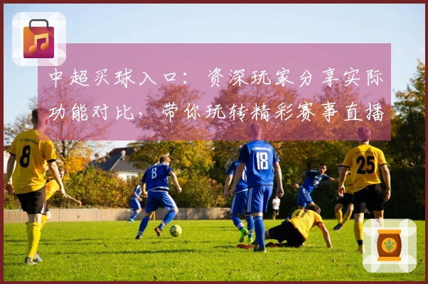 中超买球入口：资深玩家分享实际功能对比，带你玩转精彩赛事直播。