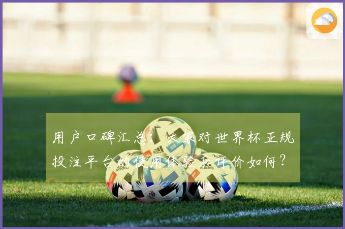 用户口碑汇总：大家对世界杯正规投注平台的使用体验和评价如何？
