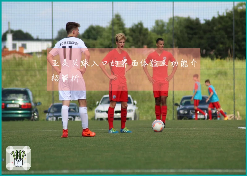 亚美买球入口的界面体验及功能介绍解析