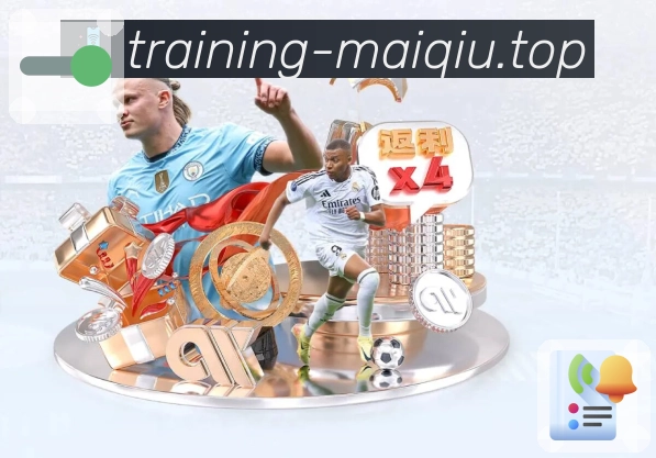 <strong>买球</strong>App 示例图